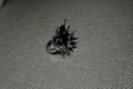 Silver spike ring